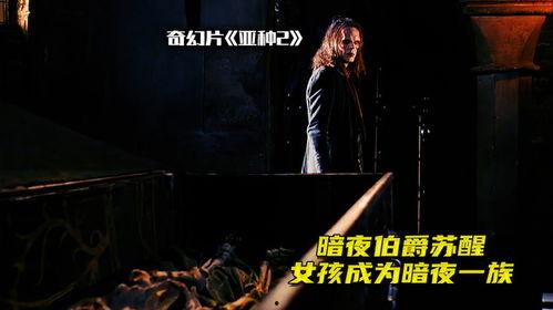 电影暗夜在线观看,网络深处的惊悚悬疑之旅  第1张